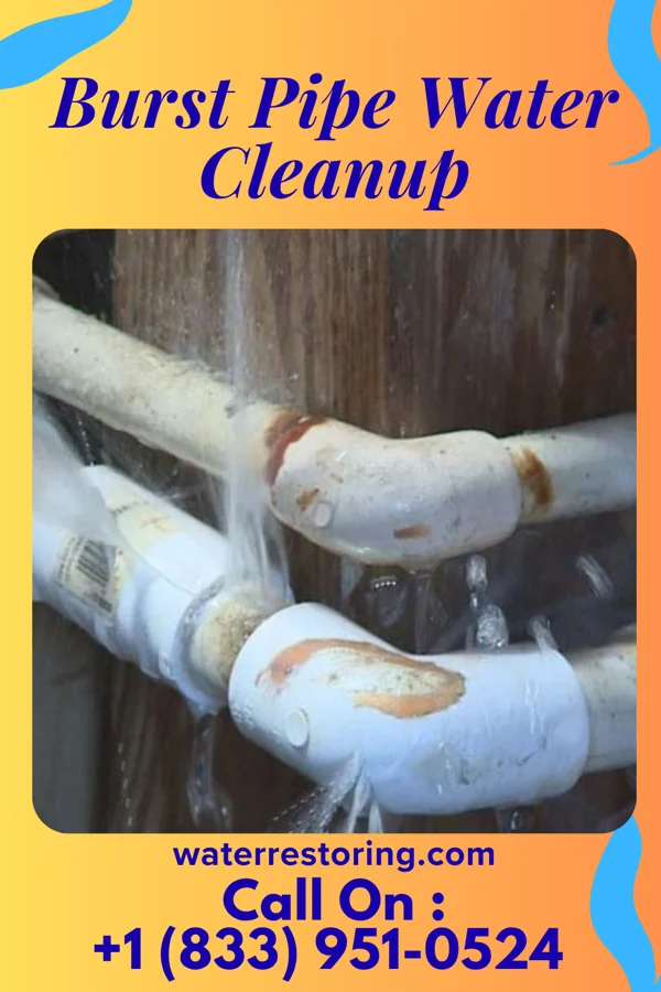 Burst Pipe Water Cleanup in Day Heights, OH